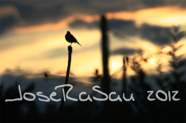 El Descanso Merecido...