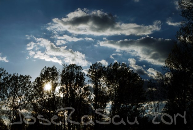 Fotografía Realizada En Al Borde De Un Camino... León.
