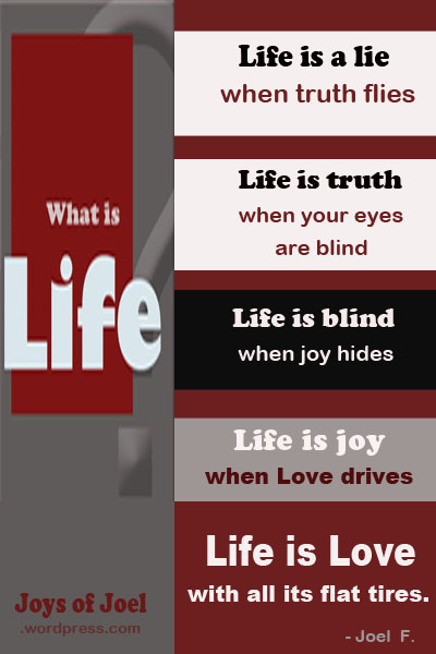 what is life, how do you spell life, joys of joel poem. ramblings and poem about life what is life, joys of joel poems, life quotes, rhyming poems, joys of joel quotes