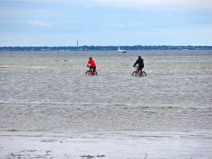 New Port Philip Cycle Trail
