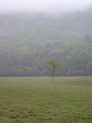 Photo by Jubilare