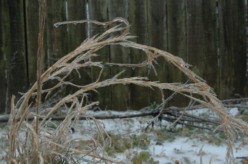 icysedge1
