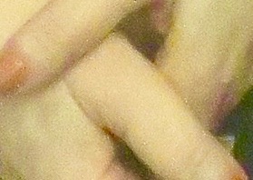 IMG_0589