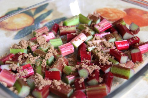 RhubarbCrumble2
