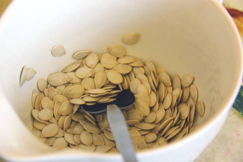 RoastedPumpkinSeeds1