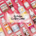 Agenzia SEO: Copertina Bio Boutique La Rosa Canina - Portfolio