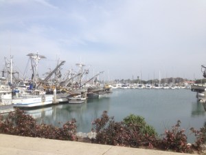 A safe harbor?