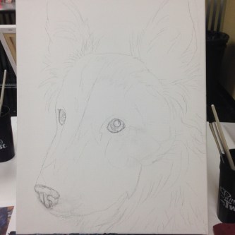 Kodi sketch