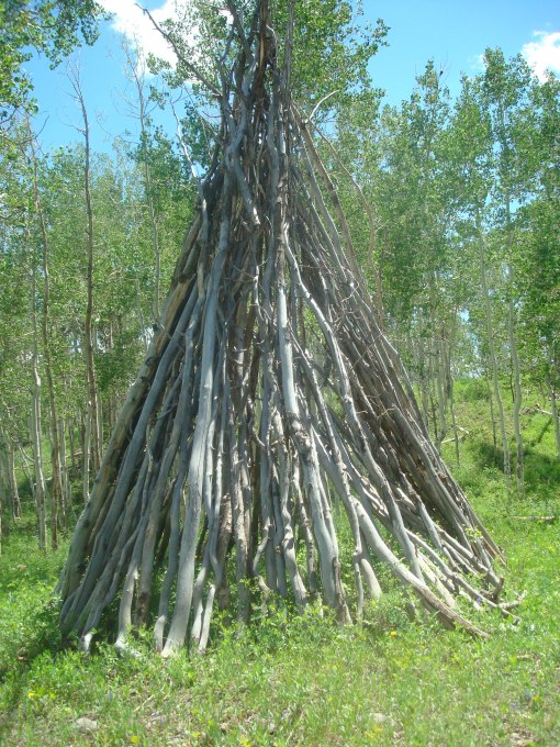 Cabin 2011 030