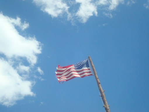 Cabin 2011 051