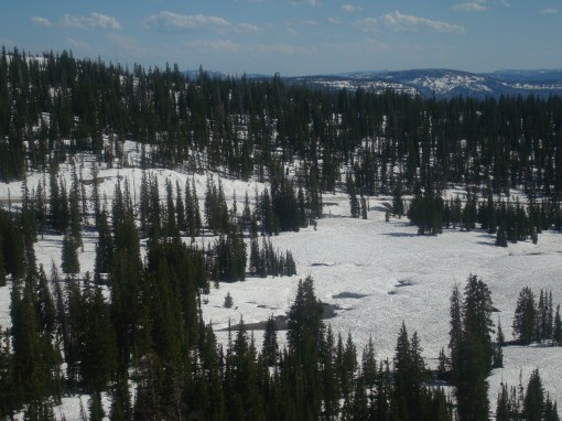 Cabin 2011 140