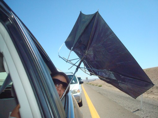 California 2011 022