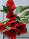 valentine's 005