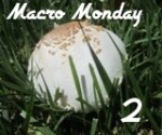 MM2badgeintrofinal_zps09e45e9a