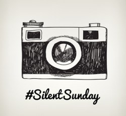 SilentSunday-e1456140824411