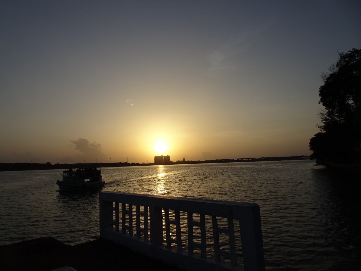 DSC00988