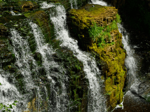 jones-falls-IGP9208