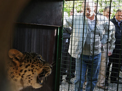 Putin's Leopard