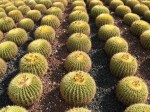 img_02204