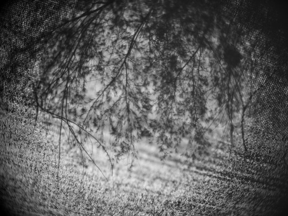 The Toy Lens The Toy Lens