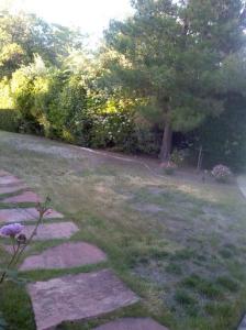 My Yard