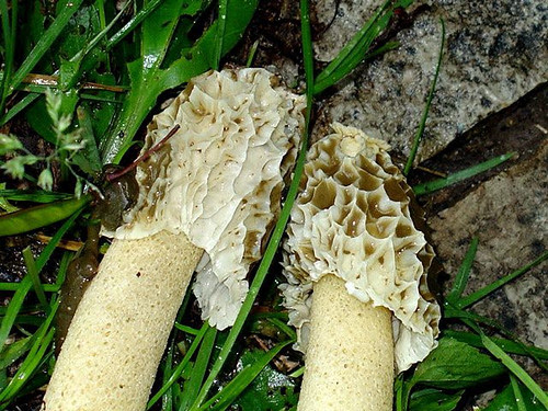 Image-12D94B27B34A11D8