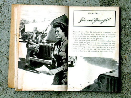 Image-D6487D4CB34311D8