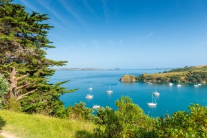 Waiheke-Island