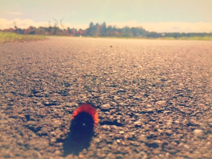 littlefriend