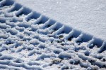 winter 2015 tire tracks