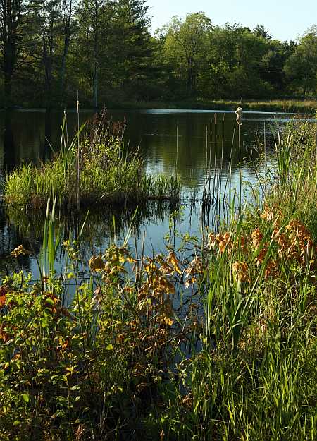 pond in plainfield pond in plainfield