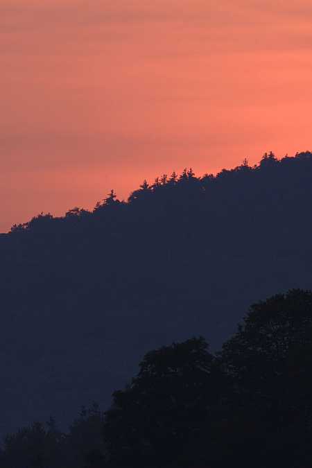 pink sunset pink sunset