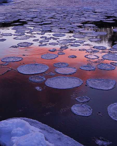 Ice Pads