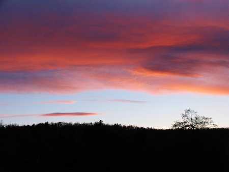 Ashfield Sunset