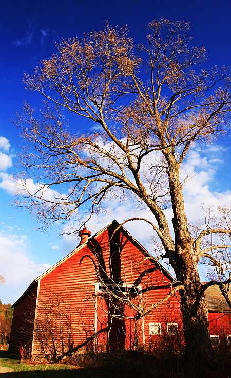 Barn With Shaddow