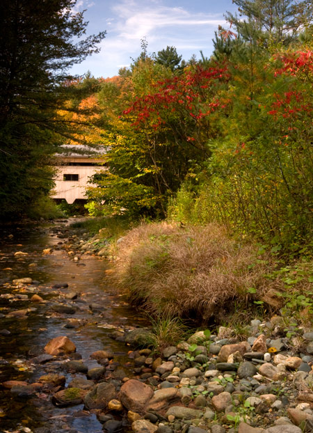Bissell and Sumacs