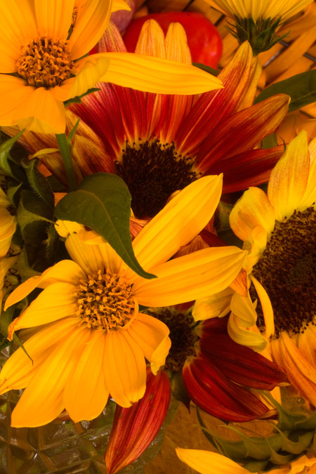 Sunflower-Bouquet