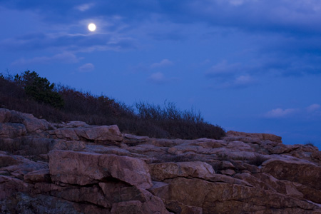 Moon Over Rafe's