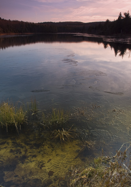 Pond With Bottom