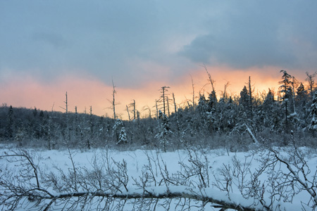 Hawley Bog Sunset