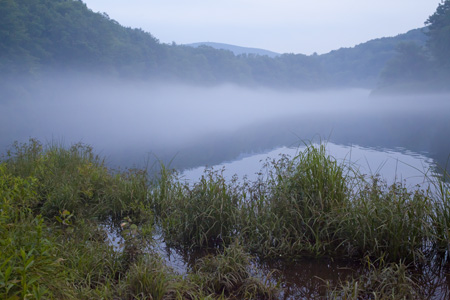 Evening Fog