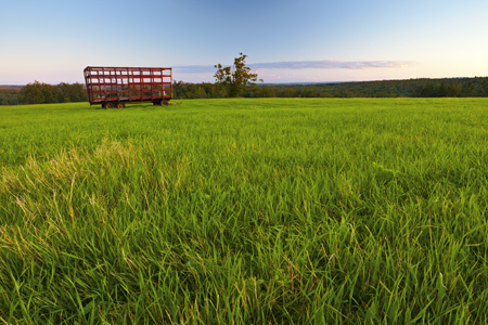 Hawley Hay Wagon