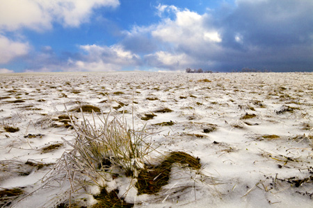 Icy Rushes