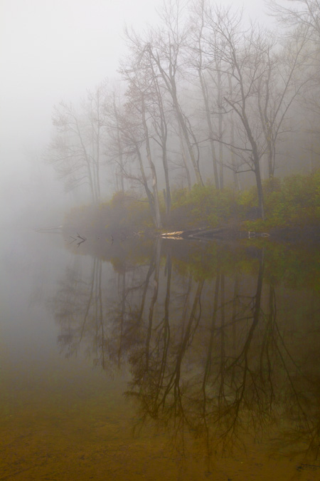 North Pond Fog