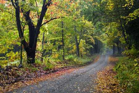 Conway Dirt Road
