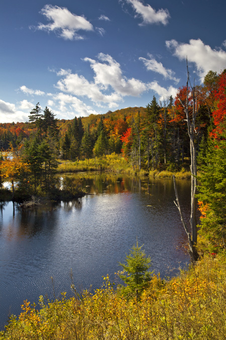 Searsburg, VT 2