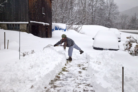 Ursi Shoveling