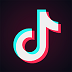 TikTok Service Icon