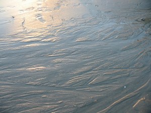 img_0938 img_0938