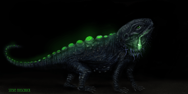 lizard